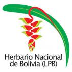 Logo of the Herbario National de Bolivia