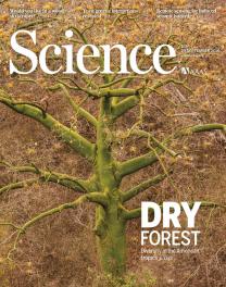 Front cover of issue Issue 6306 of the journal Science in which research based on DryFlor data was published