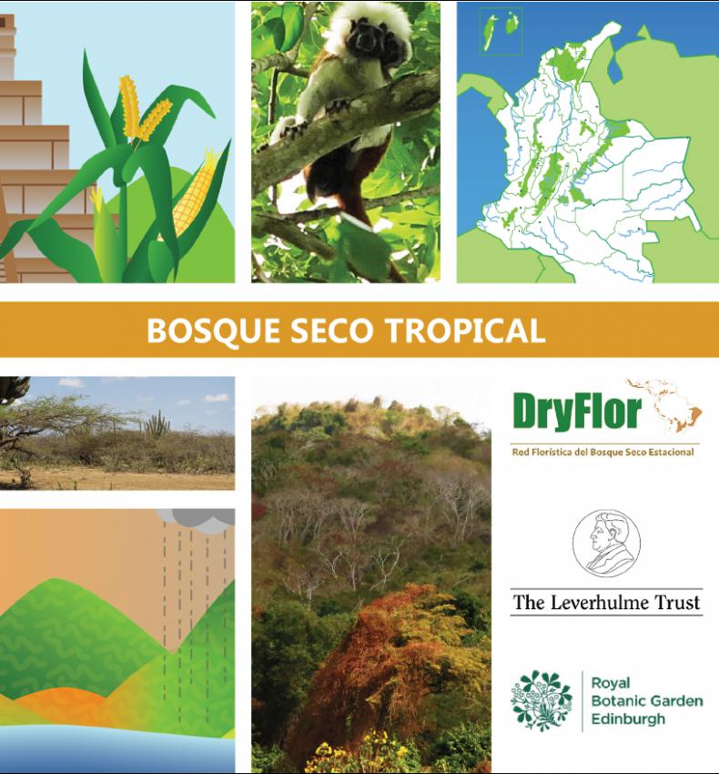 Fromt cover of the DryFlor booklet Bosque Seco Tropical